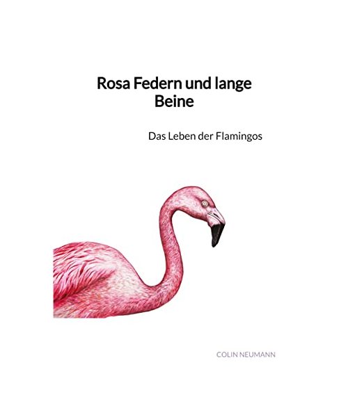 Rosa Federn und lange Beine