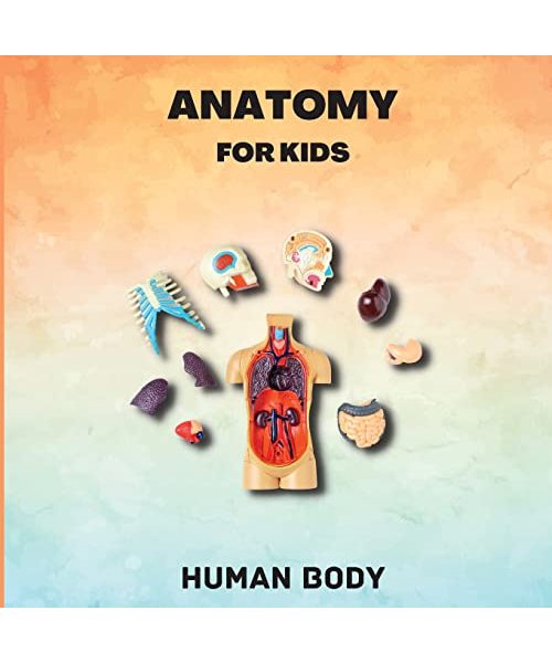 Anatomy for Kids (Human Body)