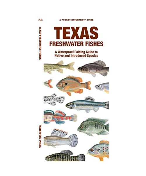 Texas Freshwater Fishes