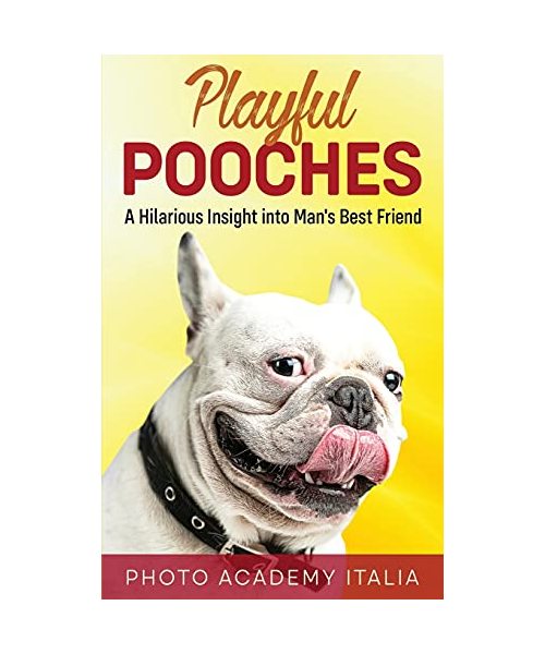 Playful Pooches: A Hilarious Insight into Man's Best Friend