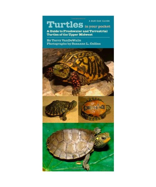 Turtles in Your Pocket: A Guide to Freshwater and Terrestrial Turtles of the Upper Midwest