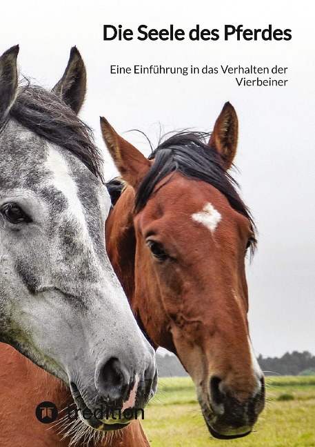 Die Seele des Pferdes
