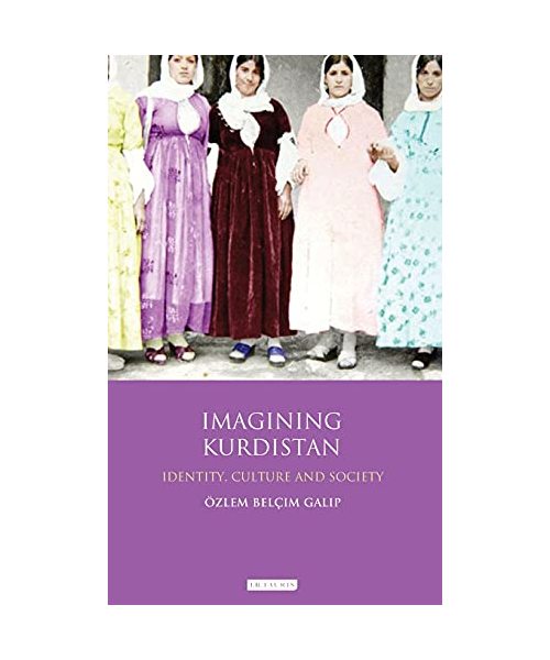 Imagining Kurdistan: Identity, Culture and Society