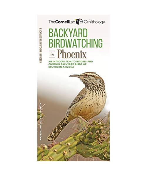 Backyard Birdwatching in Phoenix: An Introduction to Birding and Common Backyard Birds of Southern Arizona