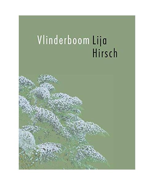 Vlinderboom