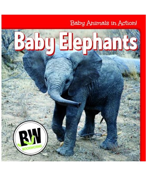 Baby Elephants (Baby Animals in Action!)