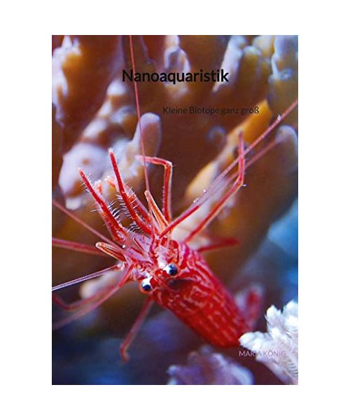 Nanoaquaristik