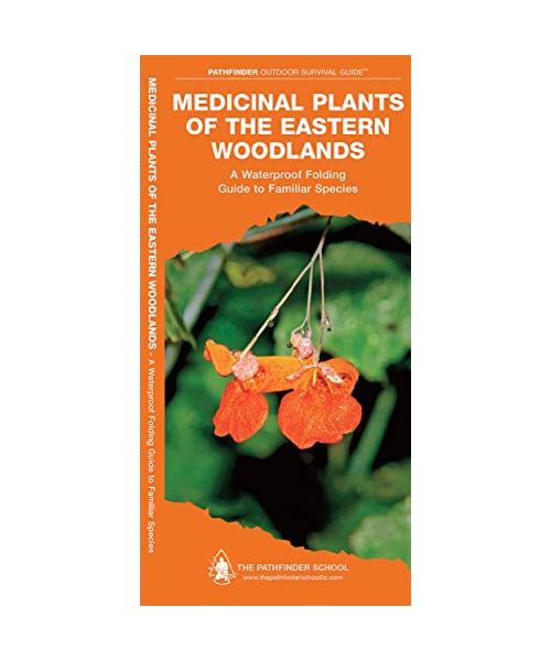 Medicinal Plants of the Eastern Woodlands