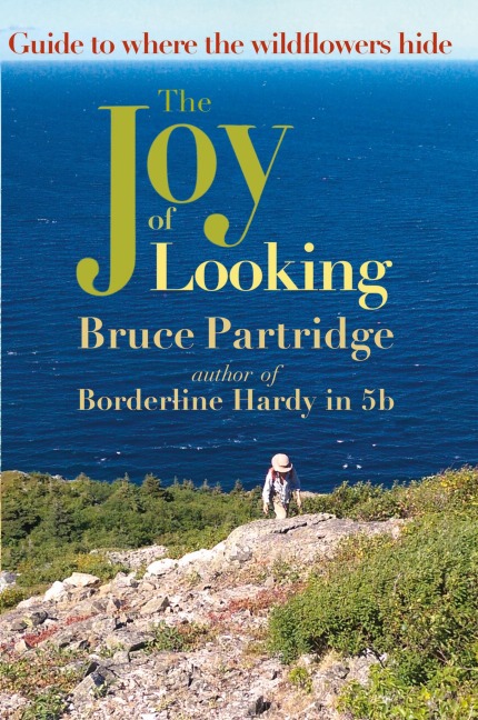 The Joy of Looking