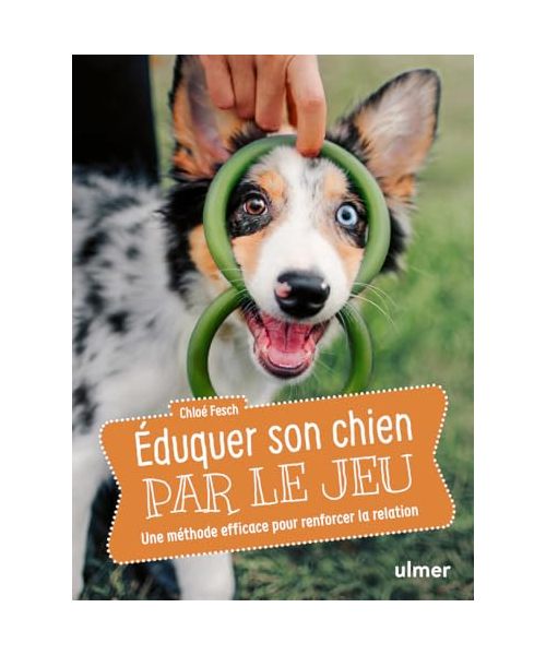 Éduquer son chien par le jeu - Une méthode efficace pour renforcer la relation