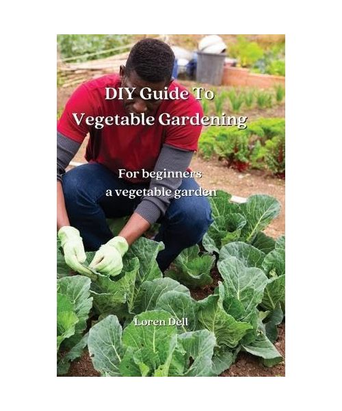 DIY Guide To Vegetable Gardening