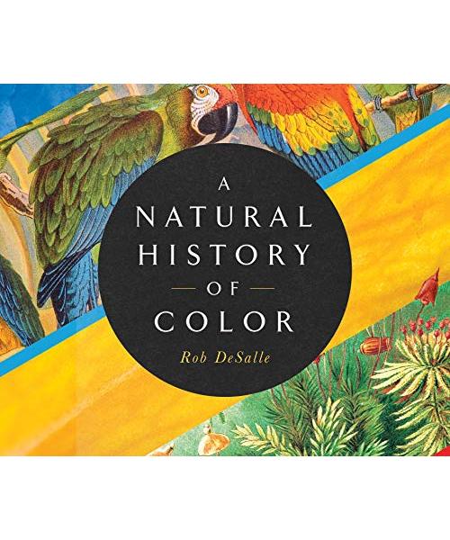 A Natural History of Color: The Science Behind What We See and How We See It