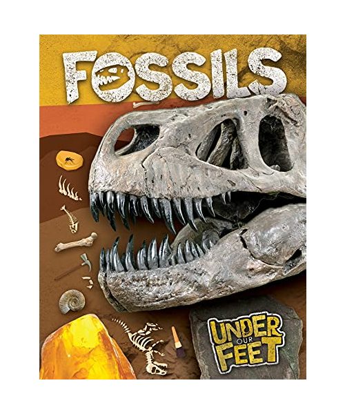 Fossils