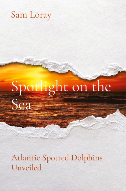 Spotlight on the Sea