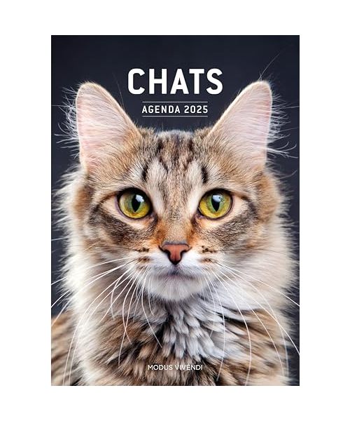 Chats - Agenda 2025