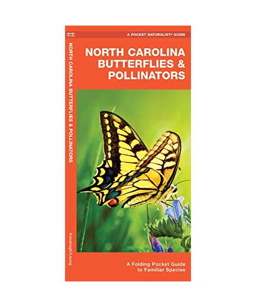 North Carolina Butterflies & Pollinators: A Folding Pocket Guide to Familiar Species