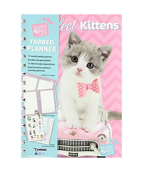 Perfect Kittens 2019 17 Month Tabbed Planner