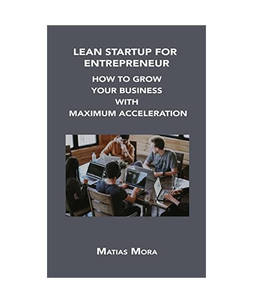 Lean Startup for Entrepreneur: How to Grow Your Business with Maximum Acceleration