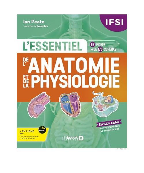 L'essentiel de l’anatomie et de la physiologie en fiches: 57 fiches - Plus de 170 illustrations