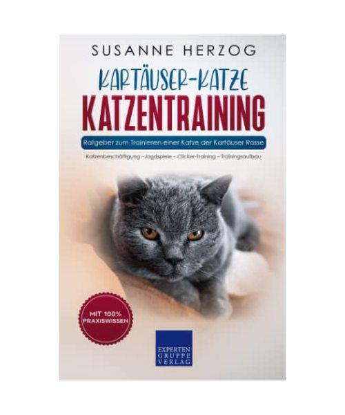 Kartäuser Katzentraining - Ratgeber zum Trainieren einer Katze der Kartäuser Rasse: Katzenbeschäftigung – Jagdspiele – Clicker-Training – Trainingsaufbau