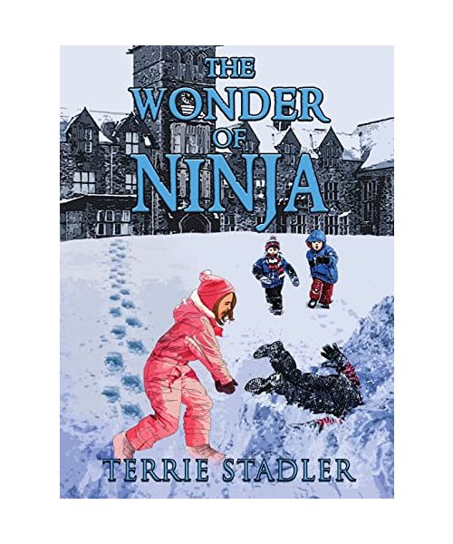 The Wonder of Ninja