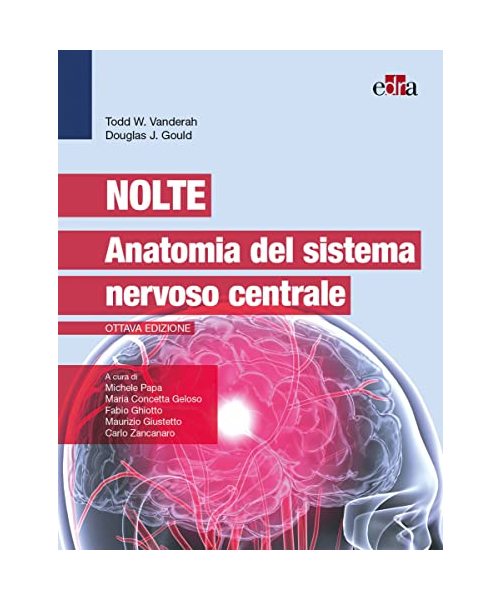 Nolte. Anatomia del sistema nervoso centrale