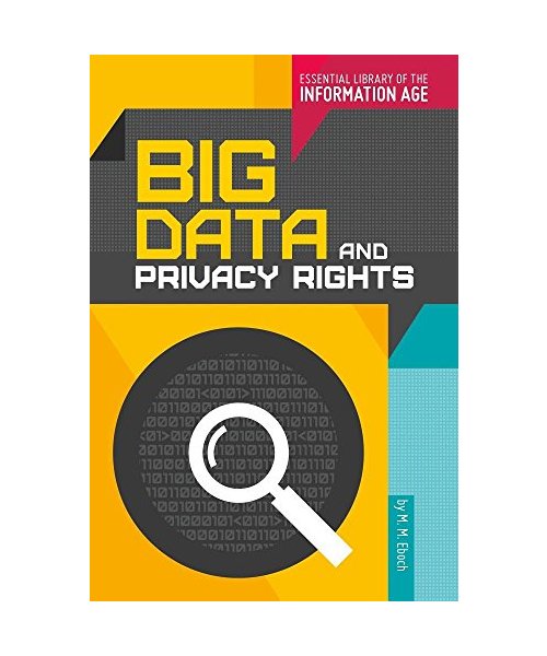 Big Data and Privacy Rights