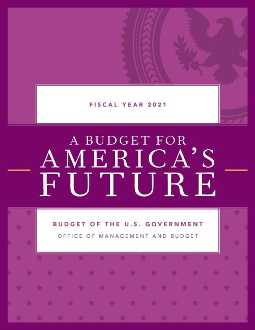 Budget for America's Future