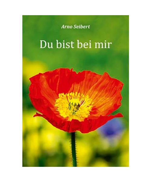 Du bist bei mir (Fundus-Reihe)