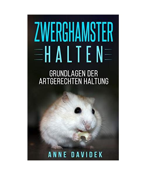 Zwerghamster halten: Grundlagen zur artgerechten Haltung