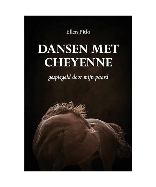 Dansen met Cheyenne: gespiegeld door mijn paard