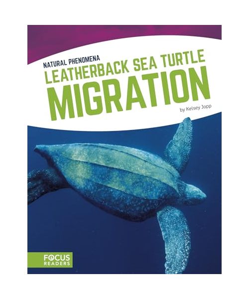 Leatherback Sea Turtle Migration