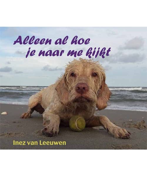 Alleen al hoe je naar me kijkt