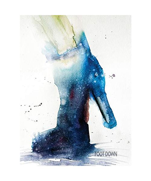 Foot Down: Large Blank Notebook (Blinkies, Band 28)