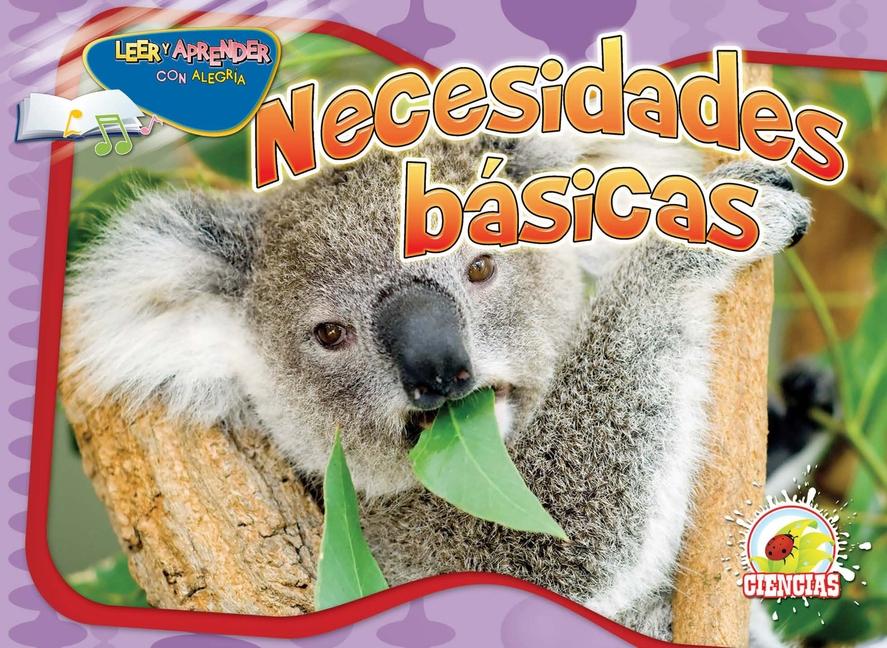 Necesidades basicas