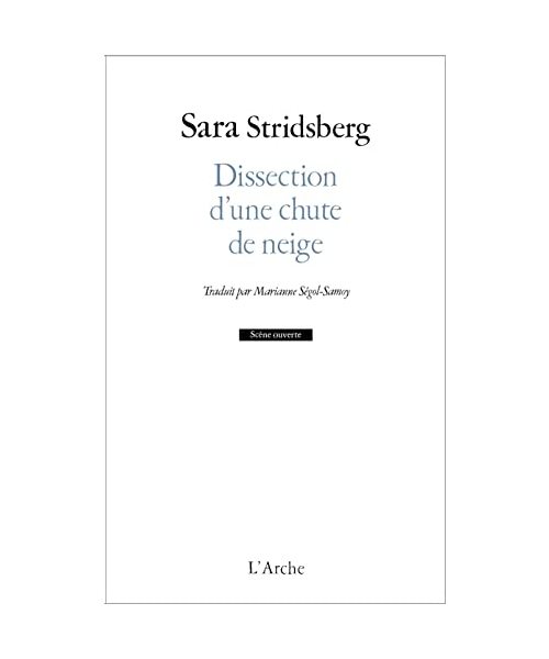 Dissection d'une chute de neige