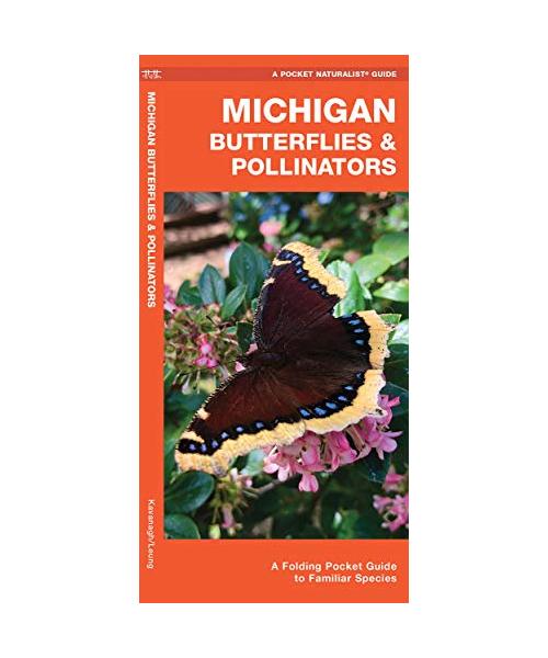 Michigan Butterflies & Pollinators: A Folding Pocket Guide to Familiar Species