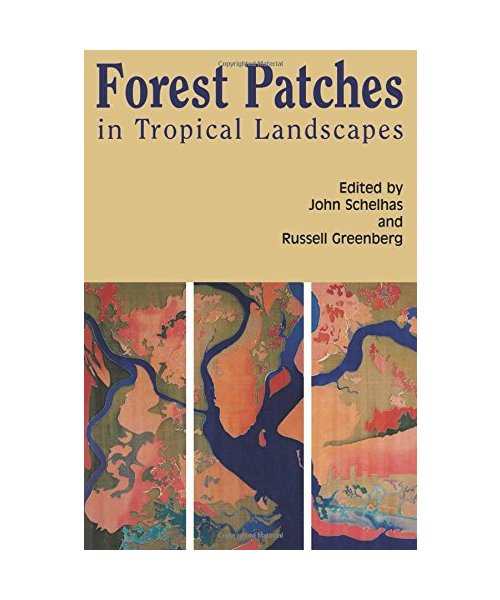 Forest Patches in Tropical Landscapes