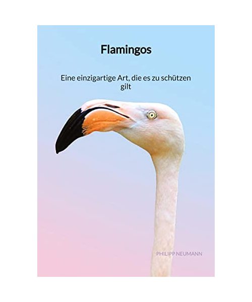 Flamingos - Eine einzigartige Art, die es zu schützen gilt