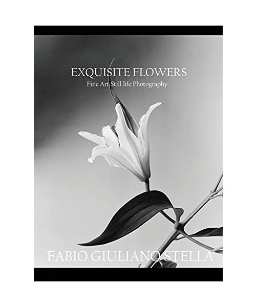 Exquisite Flowers: Fine Art Still-Life Photography