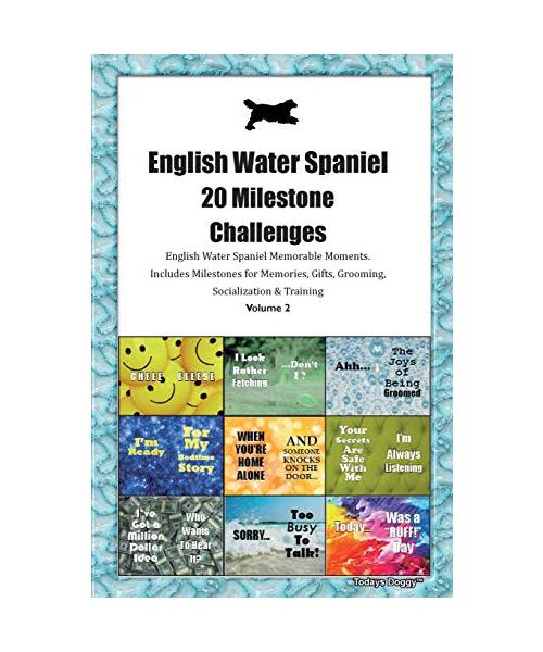 English Water Spaniel (Water Dog) 20 Milestone Challenges English Water Spaniel Memorable Moments.Includes Milestones for Memories, Gifts, Grooming, S