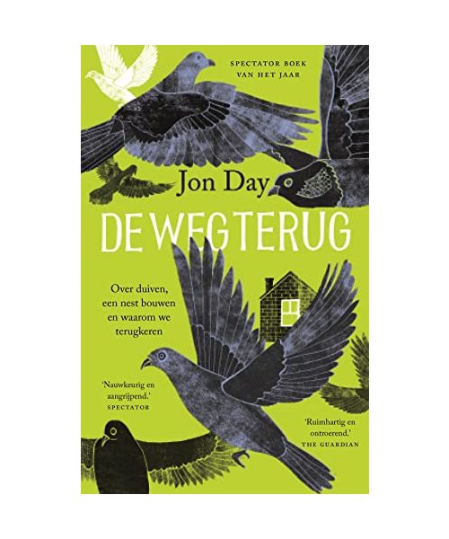 De weg terug: over duiven, een nest bouwen en waarom we terugkeren