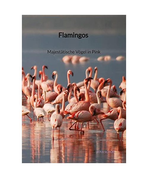 Flamingos - Majestätische Vögel in Pink