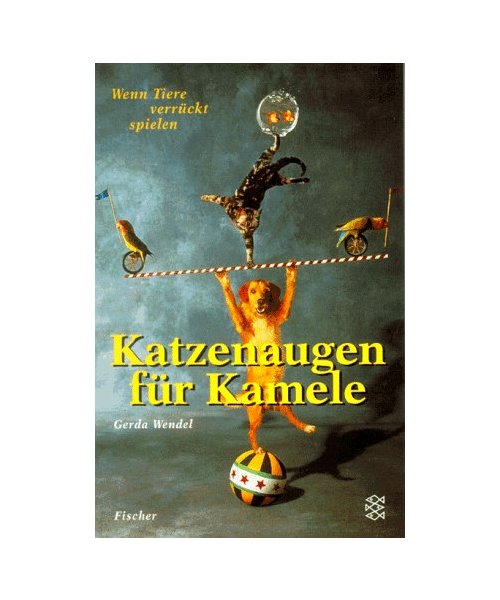 Katzenaugen für Kamele