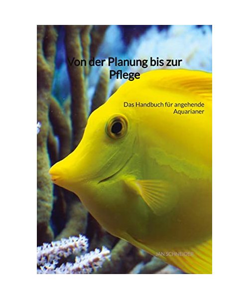 Von der Planung bis zur Pflege