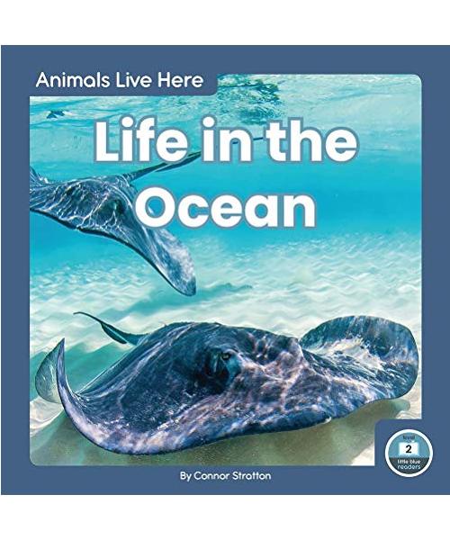 Life in the Ocean