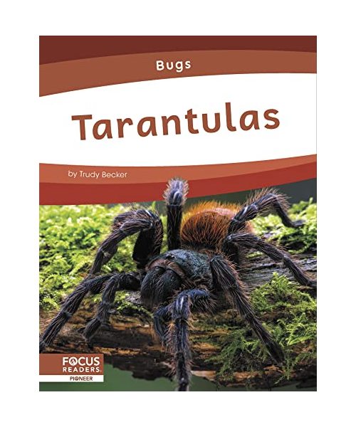 Tarantulas