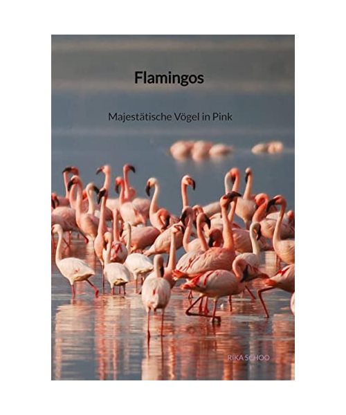 Flamingos - Majestätische Vögel in Pink