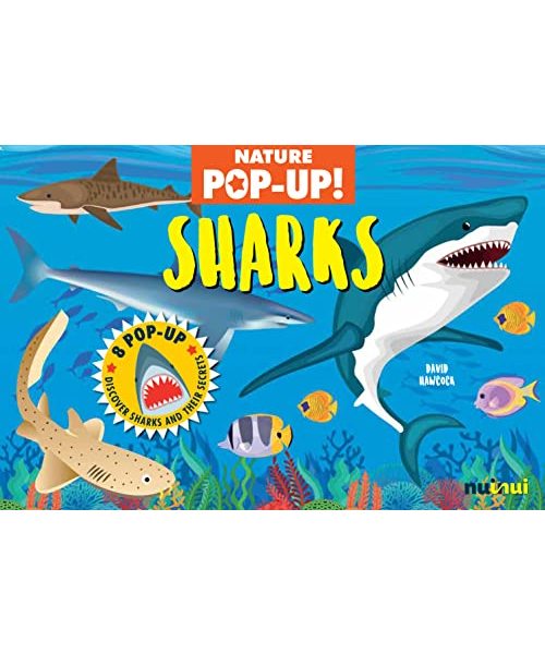 Sharks. Nature pop up!