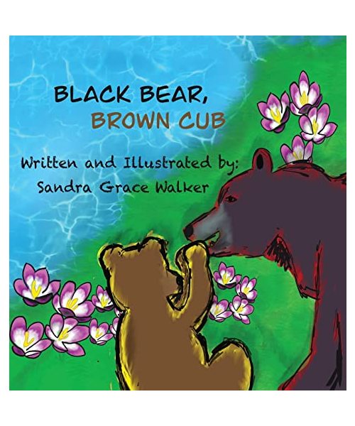 Black Bear, Brown Cub